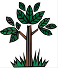 Tree - Illustration of a plant with three branches and large leaves.
